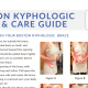 Boston Kyphologic Wear & Care Guide
